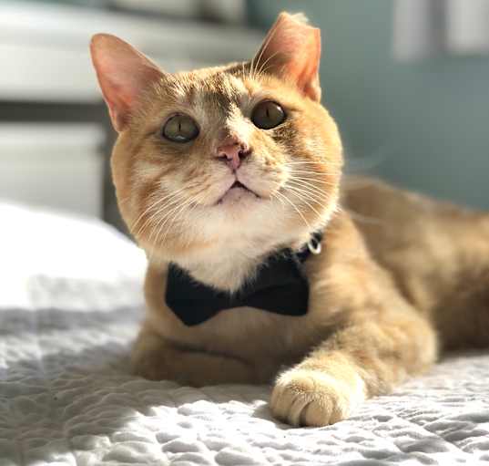 Photo of Jolly