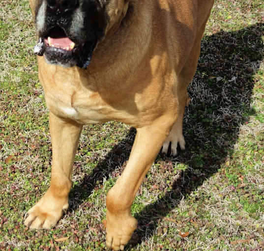 Photo of Tate