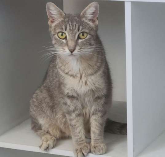 Photo of Olivia