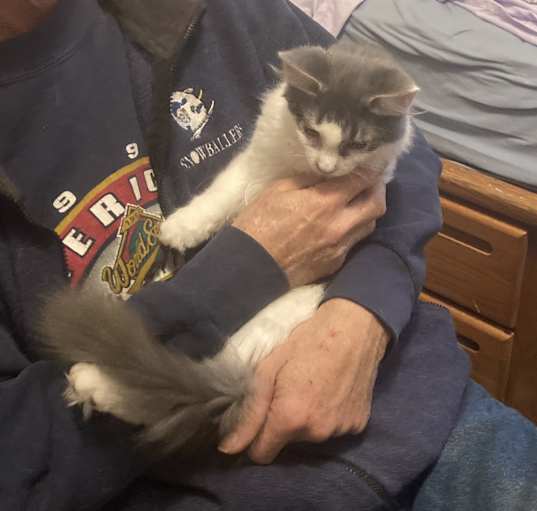 Photo of Hairball bonded with Boyd