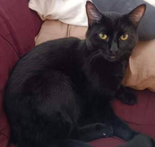 Photo of Lefty