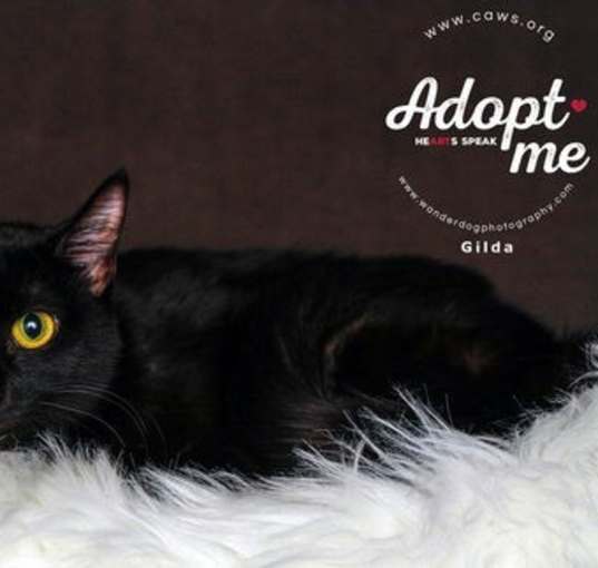 Photo of Gilda