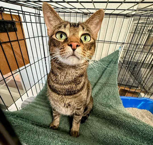 Photo of Ping