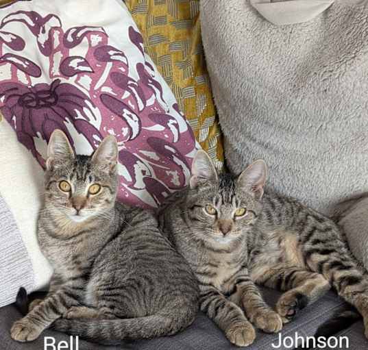 Photo of Bell and Johnson