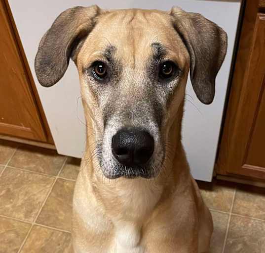 Photo of Athena Darla