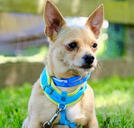 Photo of TUTI