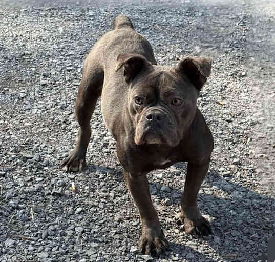 Photo of Chloe