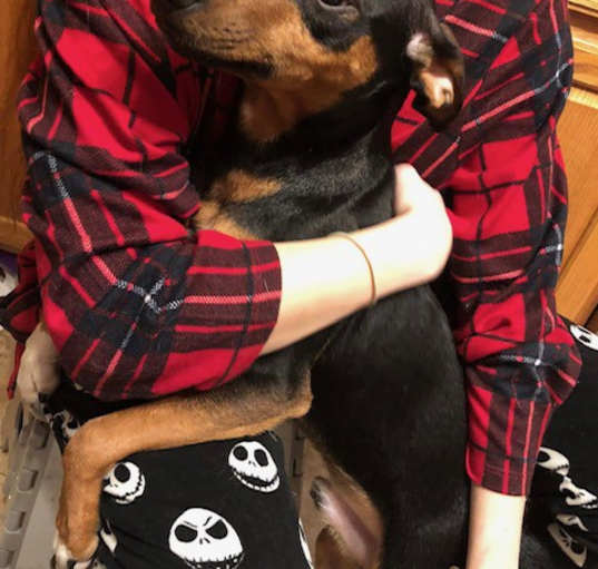 Photo of Happy Jax