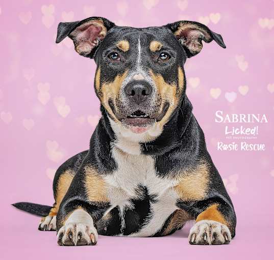 Photo of Sabrina