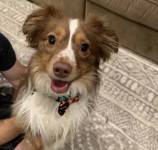 Photo of Oakley