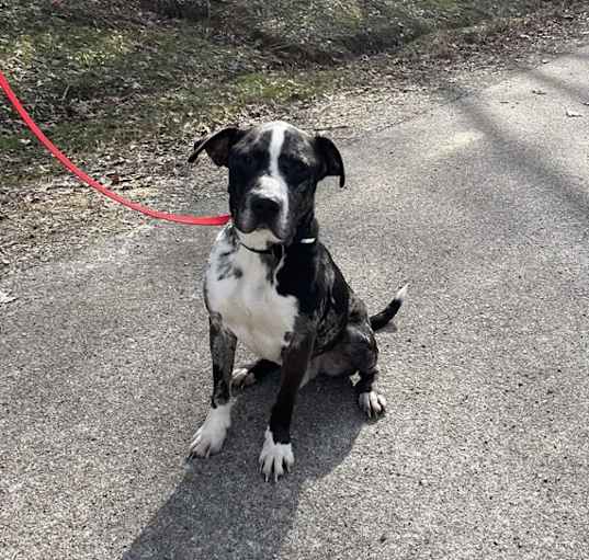 Photo of OTIS