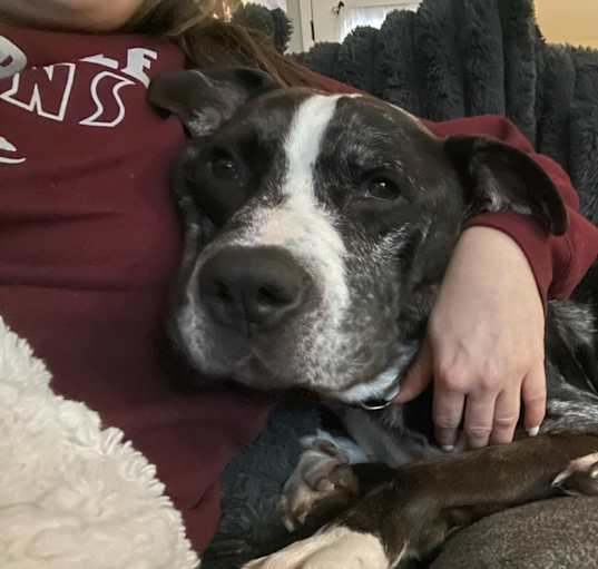 Photo of OTIS