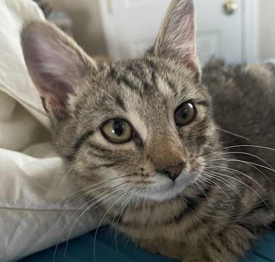 Photo of BamBam