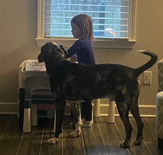 Photo of OTIS