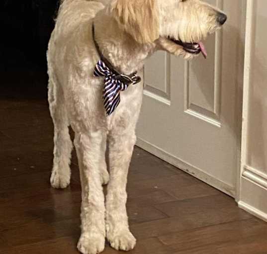 Photo of Sawyer
