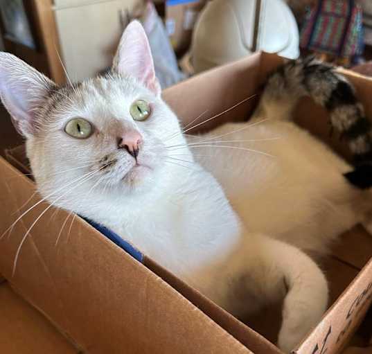 Photo of HUNNY