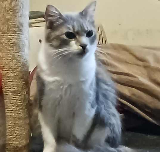 Photo of Zippy