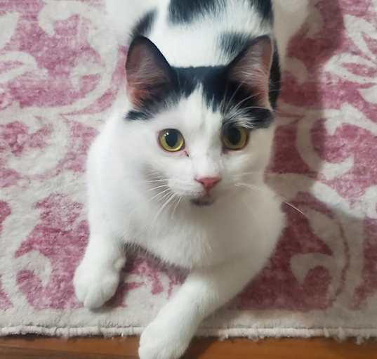 Photo of Lealah