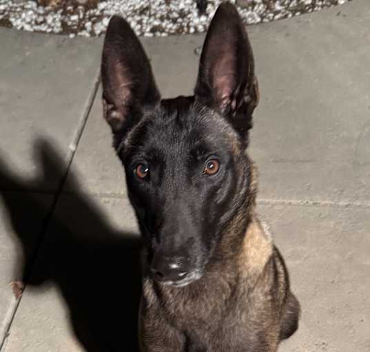 Photo of Xena