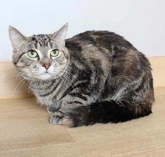 Photo of Nayla C63873