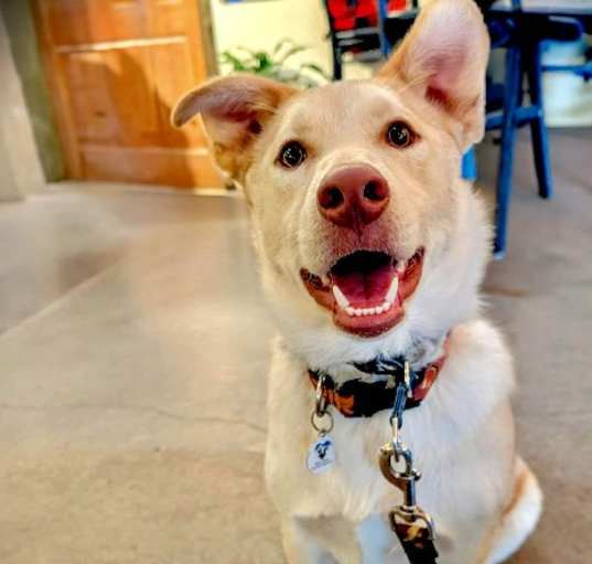 Photo of Zula
