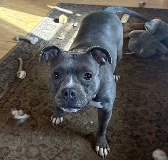 Photo of Angel