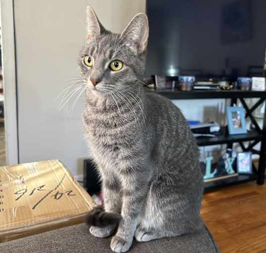 Photo of Reiley