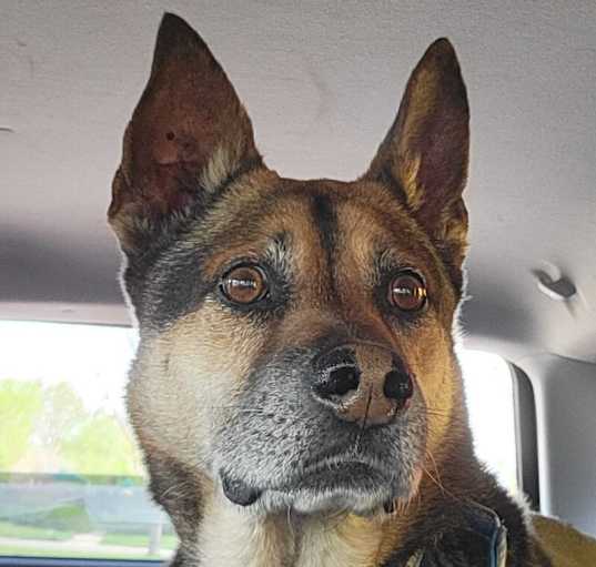 Photo of Rex