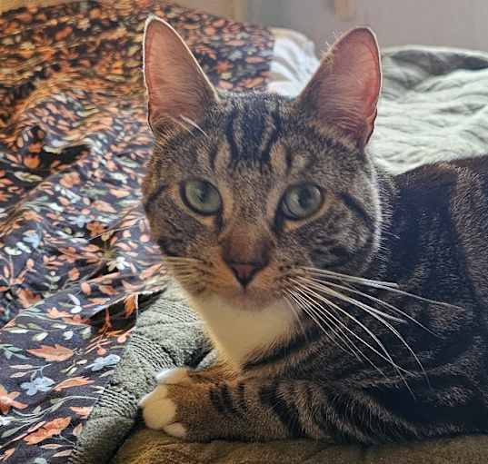 Photo of Rocky