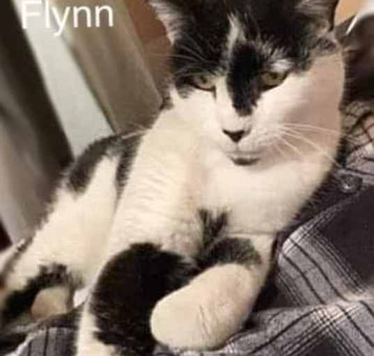 Photo of Flynn