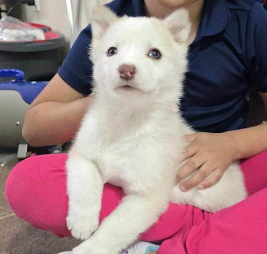 Photo of Kuma