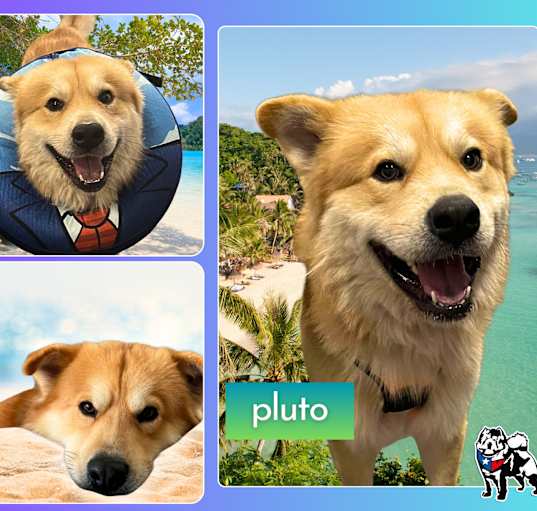 Photo of Pluto