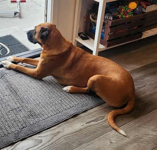 Photo of Maggie
