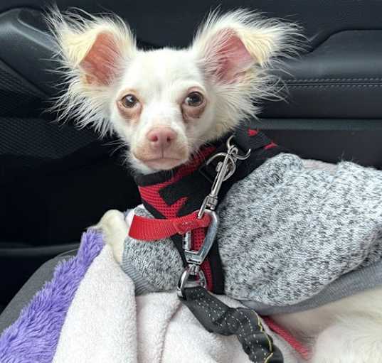 Photo of CASPER