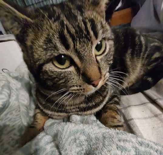 Photo of Lily