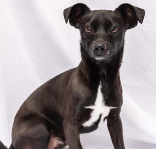 Photo of 160069 Cooper