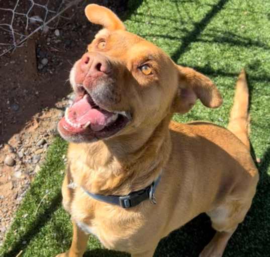 Photo of Remington