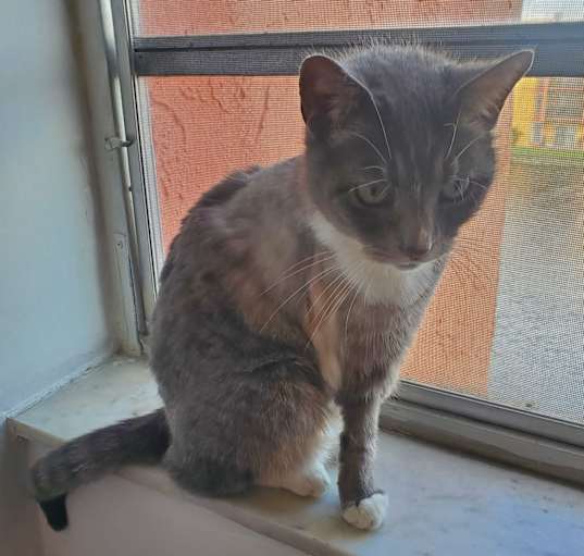 Photo of Sofia