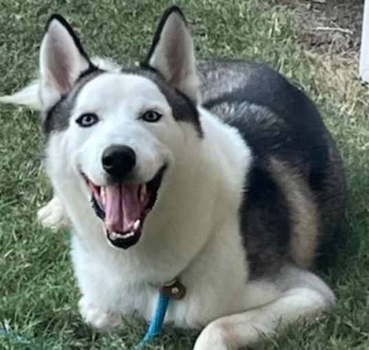 Photo of Atlas