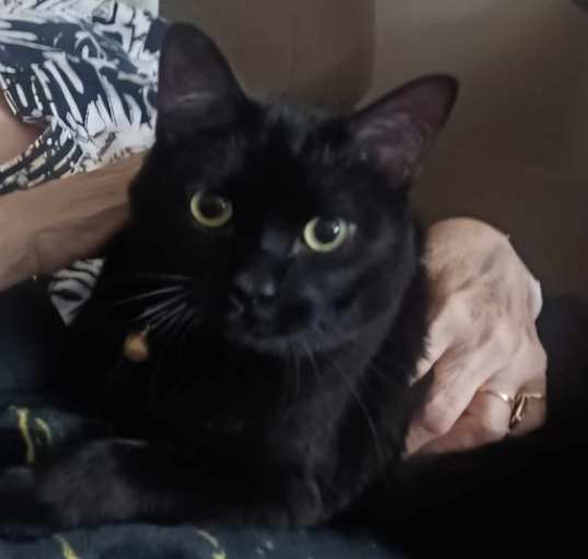 Photo of MoMo