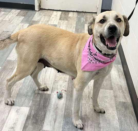 Photo of Lucy