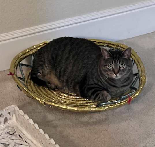 Photo of Chuchu