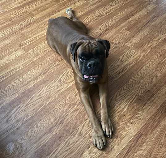 Photo of LEO