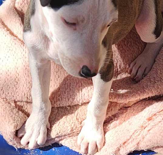 Photo of Maggie