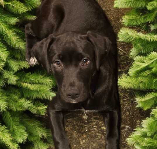 Photo of Luna