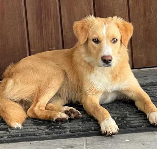 Photo of Sunnie