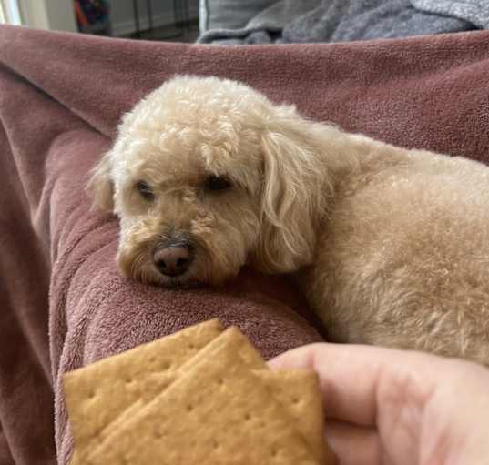 Photo of Brady