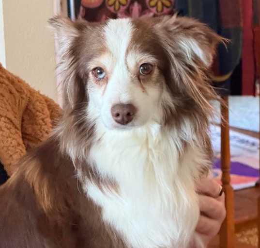 Photo of Star