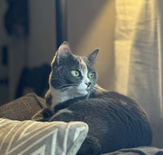 Photo of Charlie