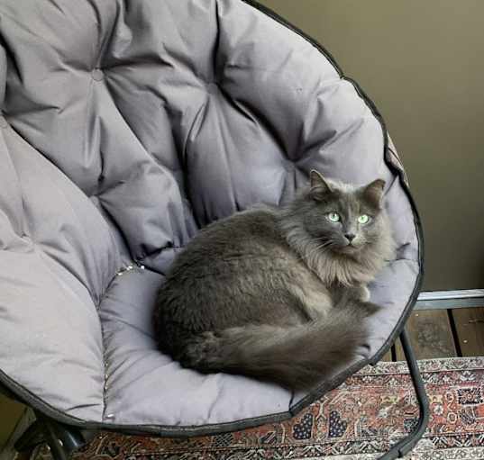 Photo of Fluff’n’stuff